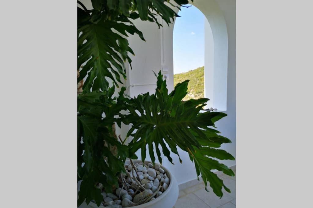 Village View Nea Epidavros Exterior foto